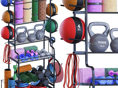 Home Gym Sports Equipment Organized On Storage Rack 3d model