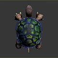 Turtle Cartoon Turtle Snapping Turtle Chickbill Turtle Reptile Cold Blooded Animal Reptile Class 3d model