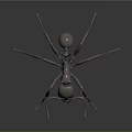 Detailed Metallic Silver Ant Model Displayed On Dark Background With Reflection