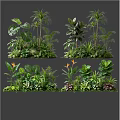 Lush Tropical Plant Combinations with Various Foliage and Greenery for Decor