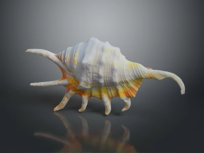 Colorful Marine Snail With Spiral Shell And Tentacle Like Projections In Ocean 3d model