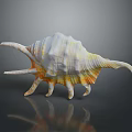 Colorful Marine Snail With Spiral Shell And Tentacle Like Projections In Ocean