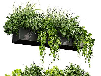 Hanging Planter with Lush Green Plants and Trailing Vines for Home Decoration 3d model
