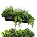 Hanging Planter with Lush Green Plants and Trailing Vines for Home Decoration