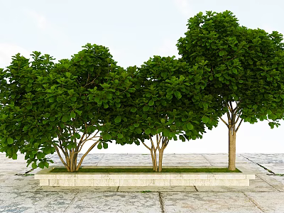 Lush Green Trees With Dense Foliage And Brown Trunks On Stone Ground Planter Bed 3d model