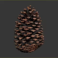 Natural Reddish Brown Pine Cone as Decorative Household Item with Distinct Scales on Dark Background