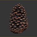 Pine cone plant game item 3d model