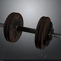 Vintage Cast Iron Dumbbell With Rustic Weight Plates And Metal Bar