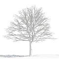 The Modern Tree 3d model