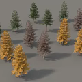 Various Colored Trees With Slender Trunks And Conical Crowns On Grey Background