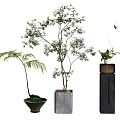 Various Bonsai Potted Plants with Different Containers and Foliage Types 3d model