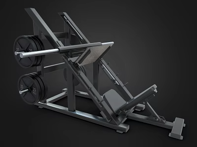 Heavy Duty Leg Press Machine With Weight Plates For Home Gym Strength Training 3d model
