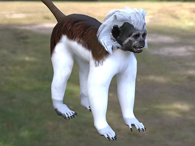 Colorful Reptile Lizard Basking In Sunlight On Rocky Ground Surface 3d model