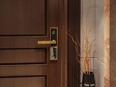 Modern Smart Door Lock Door Lock model