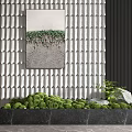 Green Plants and Moss in Black Marble Planter with White Tile Wall Art and Stone