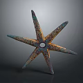 Artistic Colorful Starfish Sculpture With Detailed Textured Surface On Dark Background