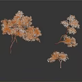 Three White Trees With Dark Background And Reflections In Studio