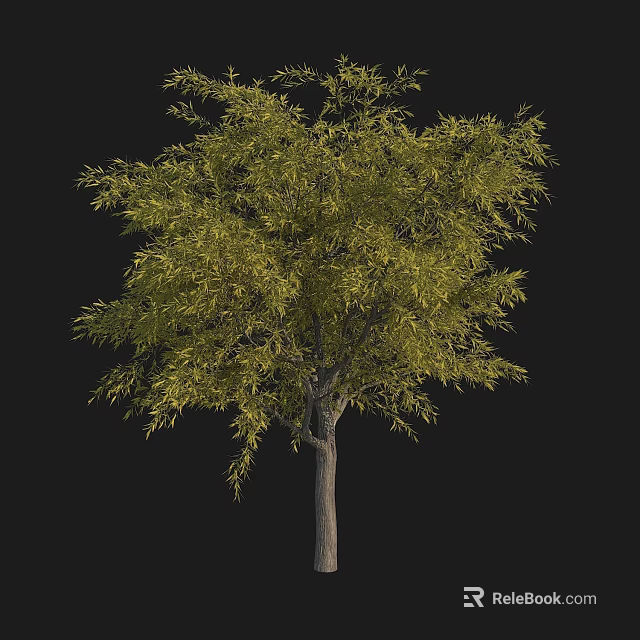 3D Rendering Lush Green Arbor With Sturdy Trunk And Dense Foliage Against Black Background 3d model 