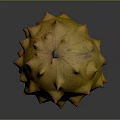 Yellow Spiky Kiwano Melon Fruit With Protrusions On Dark Background 3d model