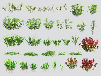 aquatic plants aquatic plants 3d model