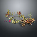 Vibrant Cartoon Scene With Various Colorful Decorative Plants Leaves and Flowers