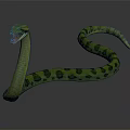 Green Snake With Open Mouth And Black Spots On Its Long Body Against Dark Background