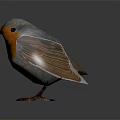 Small Bird With Gray Head And Orange Chest Standing On Black Surface With Reflection 3d model