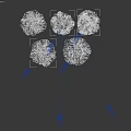 Five Green Microtopography Models with White Snowy Peak and Natural Landforms