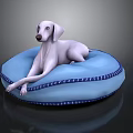 White Dog Lying On Blue Round Cushion With Decorative Trim