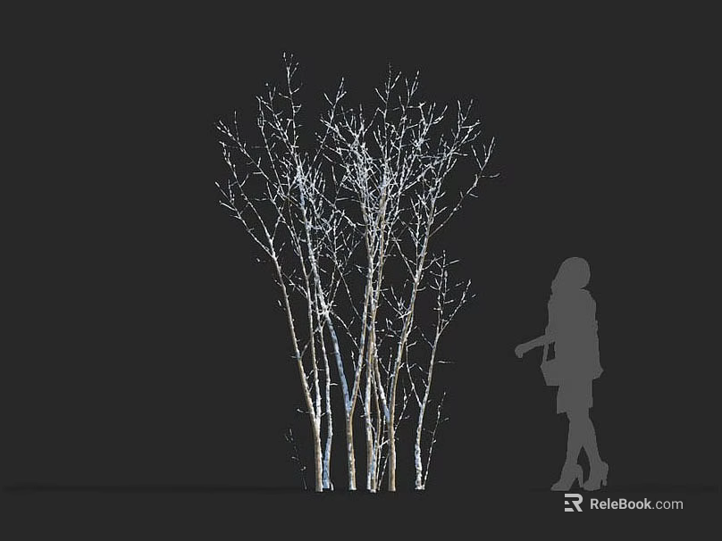 Deciduous Tree with Illuminated Trunks Leafless Branches Against Dark Background and Person Silhouette 3d model