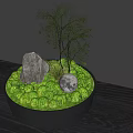 Bonsai Plant with Green Moss Small Tree Stone and Round Ball on Wooden Table