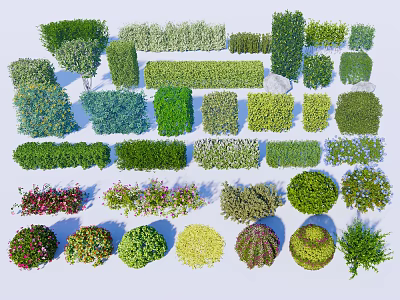 Diverse Decorative Shrubs Including Trimmed Hedges Rounded Bushes and Colorful Foliage for Garden Design 3d model