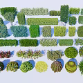 Diverse Decorative Shrubs Including Trimmed Hedges Rounded Bushes and Colorful Foliage for Garden Design
