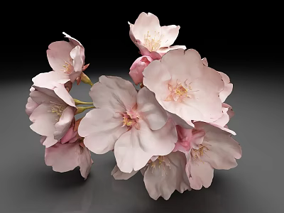 Vibrant Pink Cherry Blossom Shrub With Delicate Blooming Flowers In Spring Garden 3d model