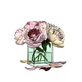 Blooming Pink Peonies in Clear Square Glass Vase with Scattered Petals