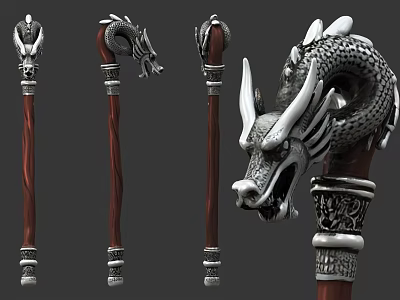 Four Different Designed Canes With Dragon Shaped Decoration Wooden Shaft And Silver Metal Accessories 3d model