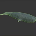 Detailed Blue Whale Figure Displayed on Dark Background with Clear Reflection 3d model