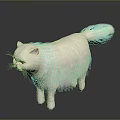 Fluffy White Long Haired Cat Standing Gracefully On Smooth Reflective Surface With Side View 3d model