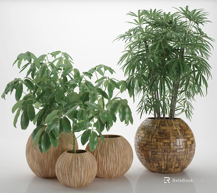 Decorative Potted Plants With Green Leaves In Woven Pots Of Various Sizes 3d model 