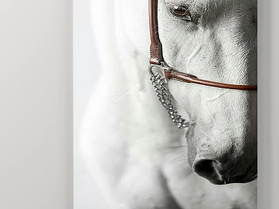 Animal Painting of a White Horse with Brown Bridle and Silver Chain Close Up View 3d model