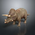Realistic Triceratops Dinosaur Model With Detailed Skin Texture And Standing Pose