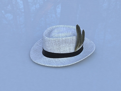 hat feather hat gentleman hat casual hat cowboy hat 3d model