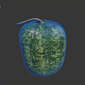 Fresh Green Yellow Spotted Melon with Brown Stem on Black Surface