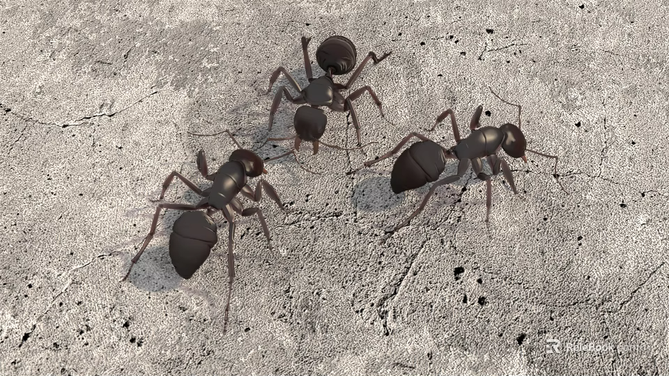 Three Small Reptiles Crawling On Rough Gray Textured Concrete Surface 3d model