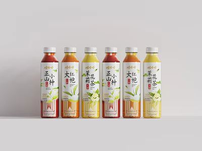 Bottled Tea Drinks With Various Flavors In Six Different Bottles Arrangement 3d model