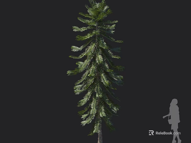 Tall Arbor With Lush Green Foliage And Human Silhouette For Scale Reference 3d model 