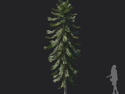 Tall Arbor With Lush Green Foliage And Human Silhouette For Scale Reference 3d model