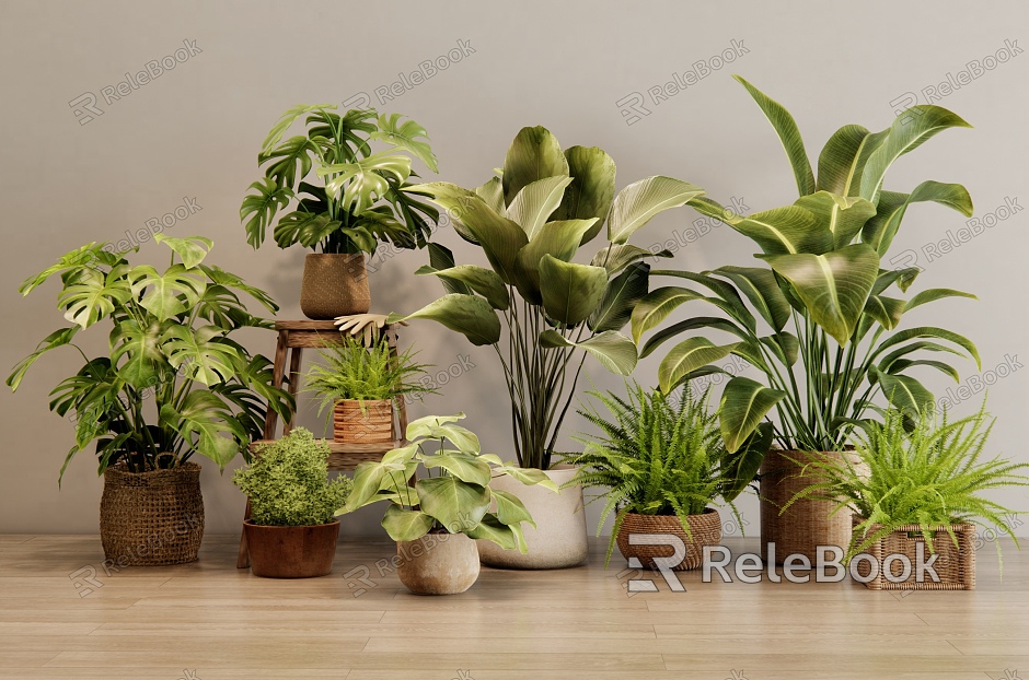 Modern Plant Potted Plant Indoor Green Plant Balcony Plant Ornaments model