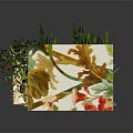 Cartoon Scene With Green Door Lush Plants Wooden Shelf Red Carpet And Yellow Sofa