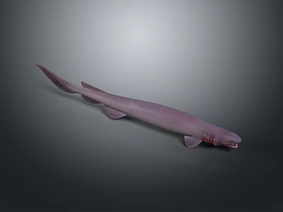 Realistic Purple Shark Model Isolated On Gray Background With Detailed Features 3d model